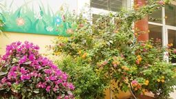 Đôi dòng về mùa xuân trong tác phẩm "Mùa xuân của tôi" (nhà văn Vũ Bằng)