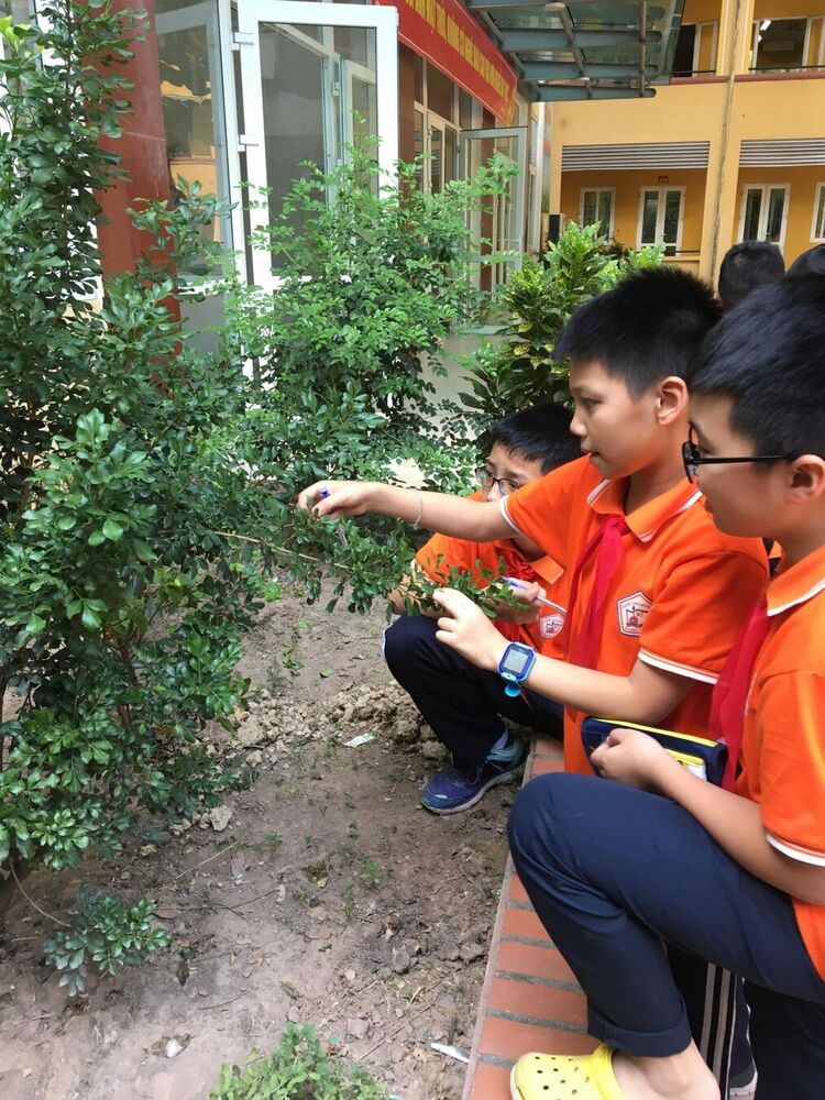 DẠY HỌC SINH HỌC THÔNG QUA TRẢI NGHIỆM