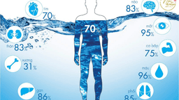 DẤU HIỆU MẤT NƯỚC VÀO MÙA NÓNG