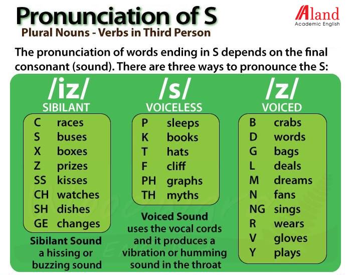 Cách phát âm S, ES dễ nhớ trong tiếng Anh