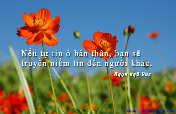 14 điều ba mẹ nên làm để nuôi dạy con luôn tự tin vào bản thân