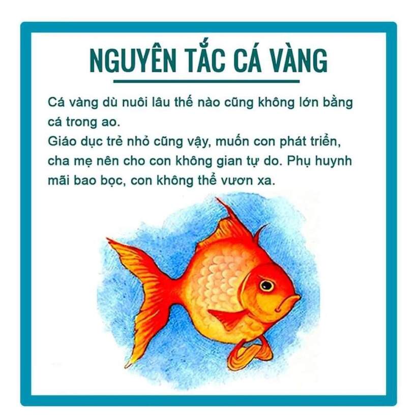 4 nguyên tắc cơ bản dạy con thành người