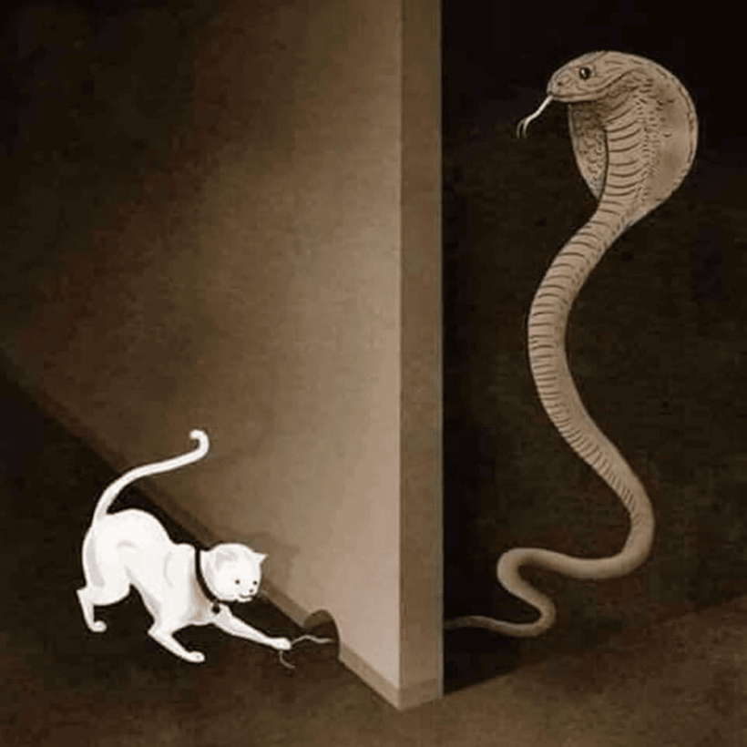 Câu chuyện về cách ứng xử trong cuộc sống