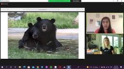Cuộc hội thảo của Câu lạc bộ Sao Xanh trường THCS Nguyễn Trãi (quận Ba Đình) với chuyên gia đến từ nhóm thanh niên toàn cầu ở Mĩ