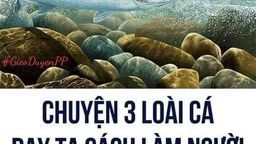 CHUYỆN 3 LOÀI CÁ, DẠY TA CÁCH LÀM NGƯỜI