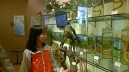 THAM QUAN BẢO TÀNG THIÊN NHIÊN