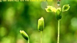 Xúc động với bức tâm thư của một phụ huynh học sinh lớp 9 trường THCS Nguyễn Trãi (quận Ba Đình)