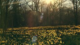 Lớp học toàn học sinh cá biệt, thế nhưng, chỉ nhờ 1 câu hỏi của cô giáo, cuộc đời của các em đã hoàn toàn thay đổi