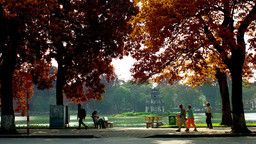 "Mùa thu của tôi" - Bài văn của học trò và cảm nhận