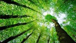 4 giải pháp nhanh gọn và hiệu quả khi bạn bị “quá tải”