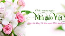 Những câu ca dao về thầy cô ngày 20/11 hay và nghĩa nhất