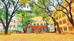 Chi đoàn giáo viên Trường THCS Nguyễn Trãi trồng và chăm sóc cây hoa trong khuôn viên nhà trường