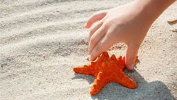 CỐ GẮNG TỪNG CHÚT MỘT