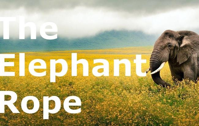 NHỮNG CÂU CHUYỆN Ý NGHĨA TẠO ĐỘNG LỰC TRONG  CUỘC SỐNG