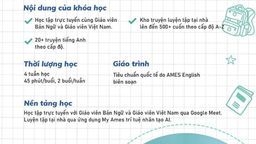 Trường THCS Nguyễn Trãi triển khai: Chương trình sinh hoạt hè Tiếng Anh 2021 miễn phí dành cho học sinh