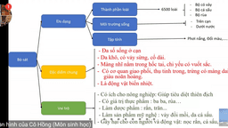 Triển khai công tác dạy trực tuyến của tổ Hóa Sinh Địa