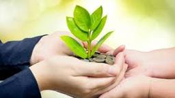 Chuyện cậu bé cứu những con cá