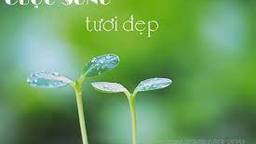 Vị khách tốt bụng