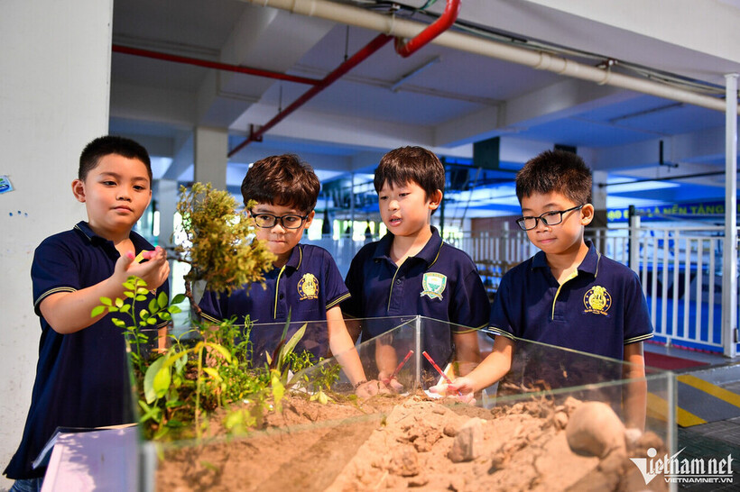 Trường học 'mở đường' để đánh thức lòng biết ơn trong mỗi học sinh