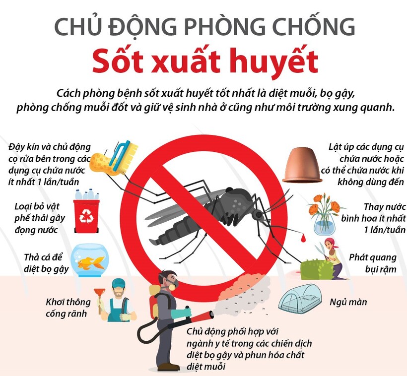 Infographic: Chủ động phòng chống Sốt xuất huyết