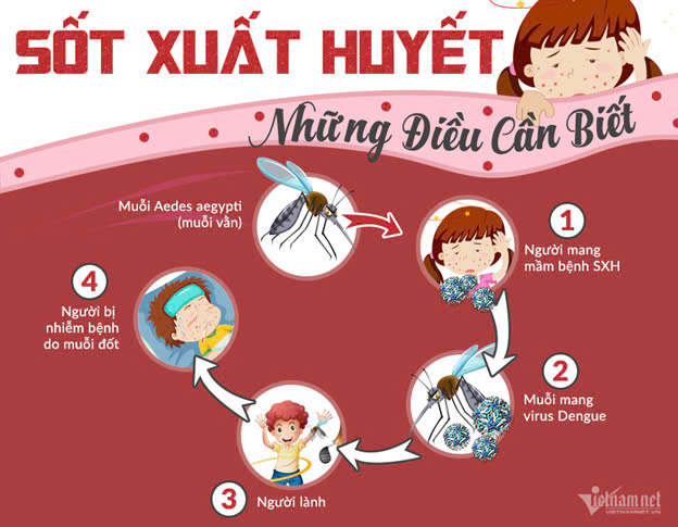 Tìm hiểu về bệnh sốt xuất huyết cùng lớp 6A1 chúng em